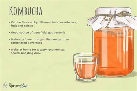 kombucha meaning